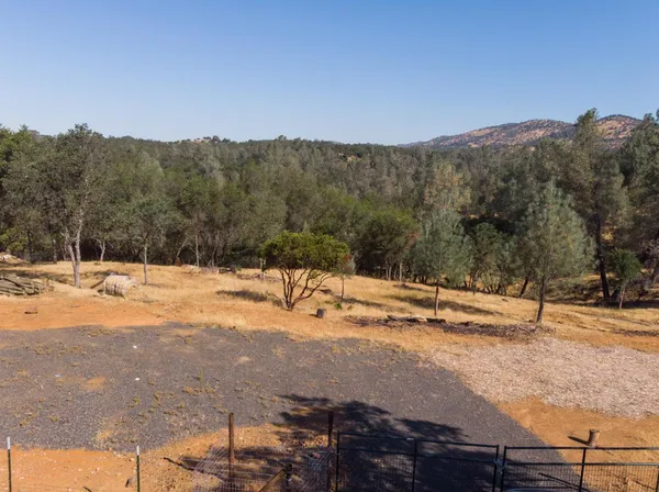 a view of a yard with an trees