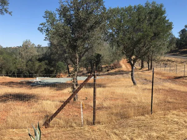 a view of a yard with a tree