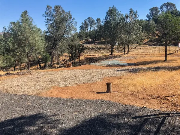 a view of a dry yard with trees and covered with wooden fence