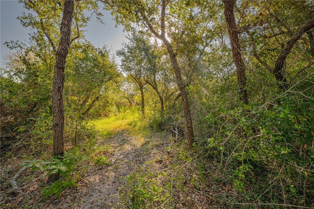 1501 Prairie Road Rockport, TX 78382 - Photo 4 of 17