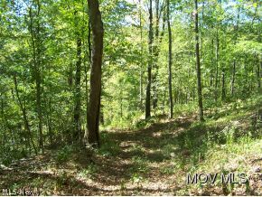 110 Co Rte 9/6 Spencer, WV 25276 - Photo 11 of 18 Trail thru woods-GREAT HUNTING
