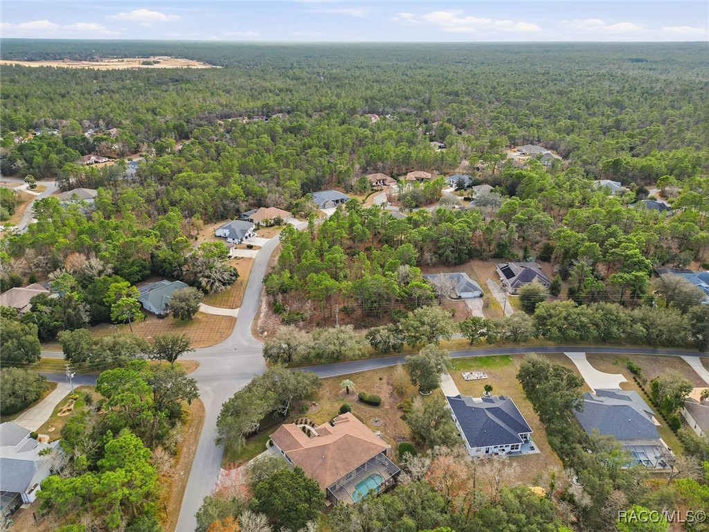 2 Nephthytis Court Homosassa, FL 34446 - Photo 10 of 21