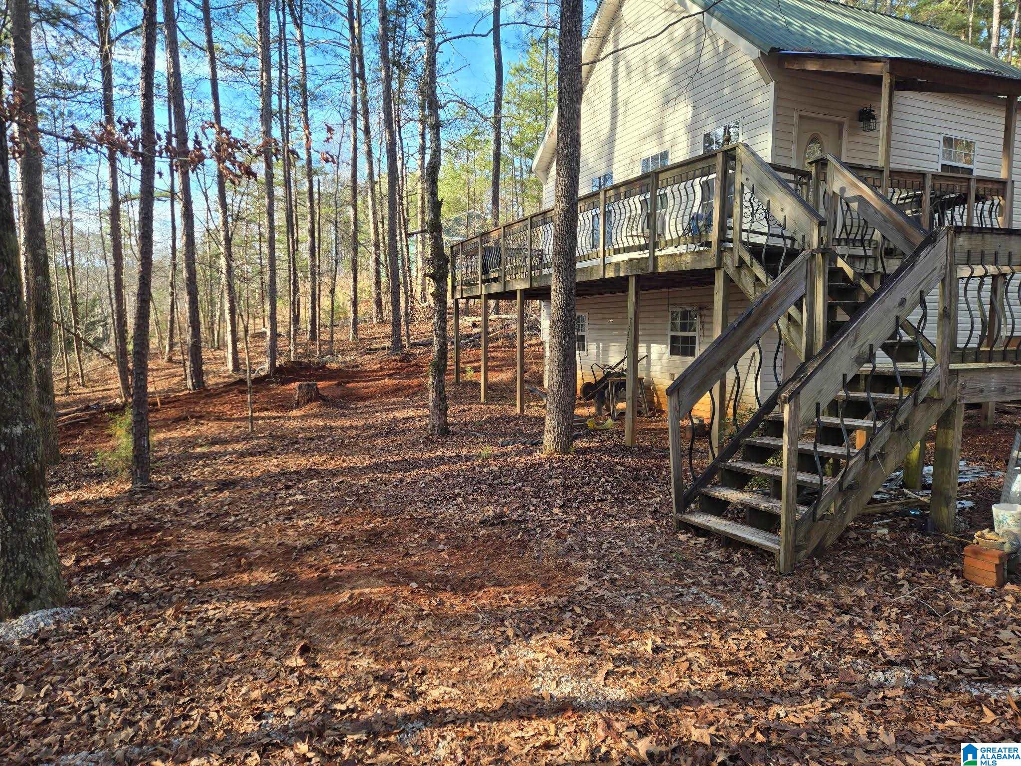 283 County Road 2012 Delta, AL 36258 - Photo 2 of 19