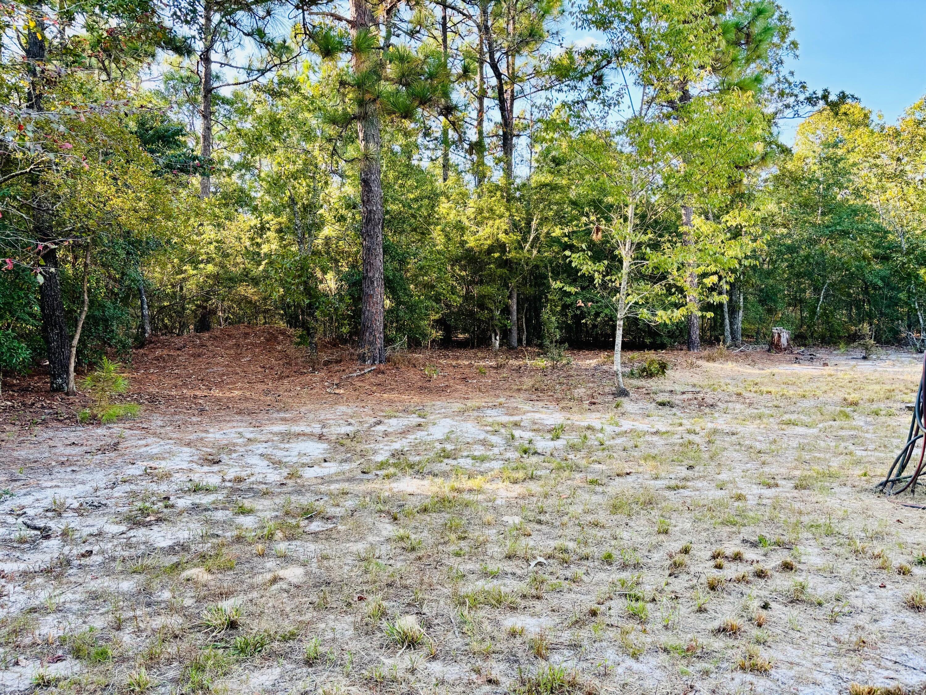 551 Oak Ridge Club Road Windsor, SC 29856 - Photo 23 of 23
