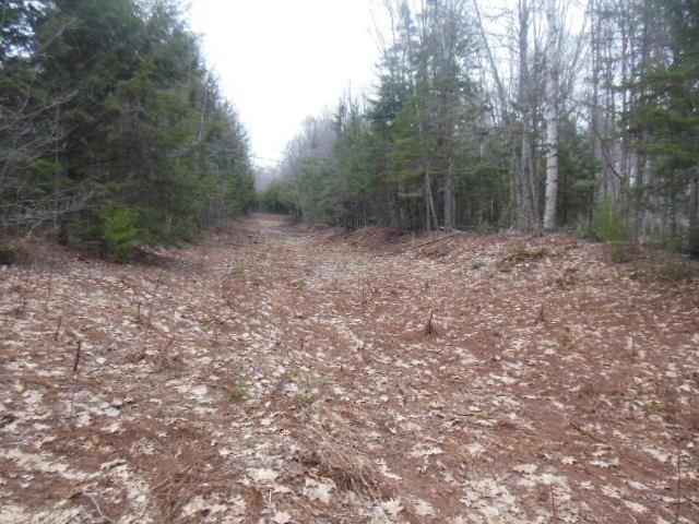 Map1-lot14 Edinburg Road Howland, ME 04448 - Photo 4 of 7 DSCN2968
