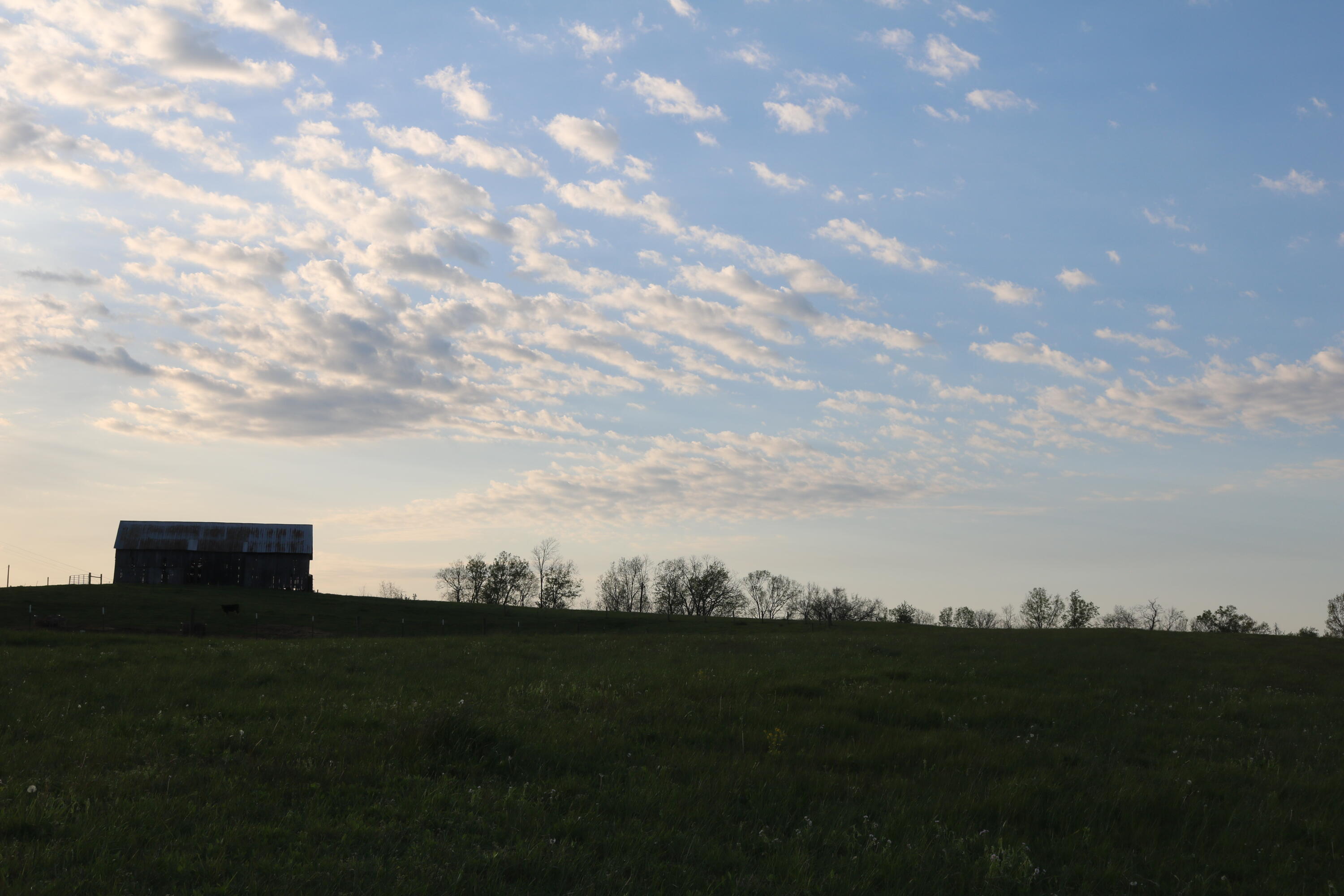 1 A Bethel Road Moorefield, KY 40350 - Photo 7 of 20 IMG_6040