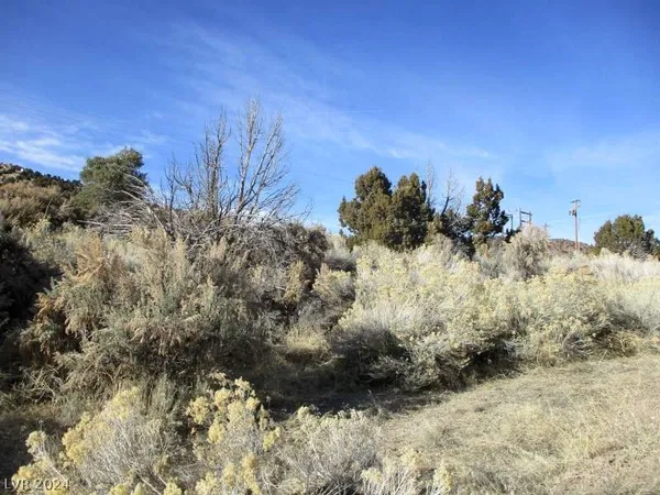 $61,500 | 322 (2.46 Ac), Pioche, NV 89043