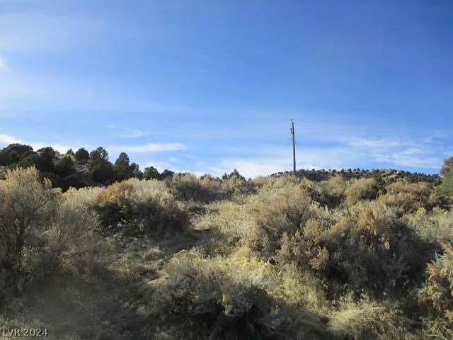 $61,500 | 322 (2.46 Ac), Pioche, NV 89043