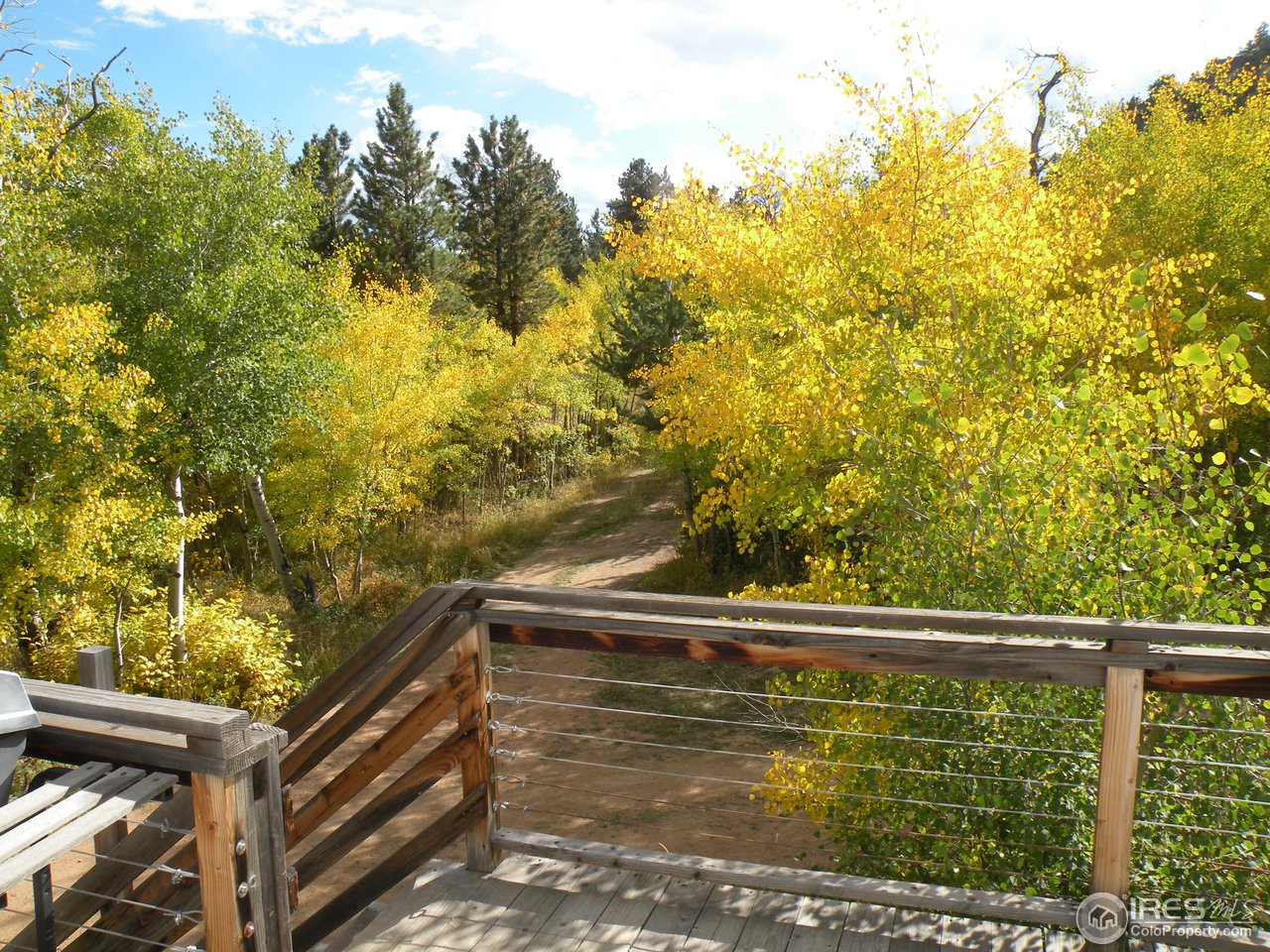 201 Huron Road Red Feather Lakes, CO 80545 - Photo 8 of 20 Gallery Image 8
