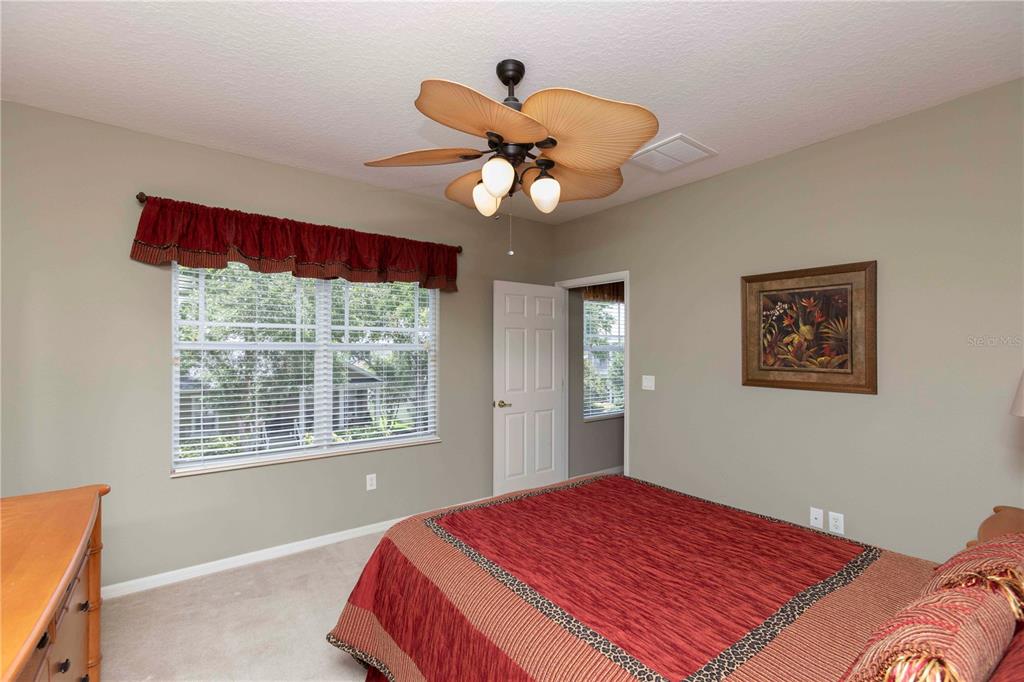 3746 Dogtrot Street New Port Richey, FL 34655 - Photo 26 of 50