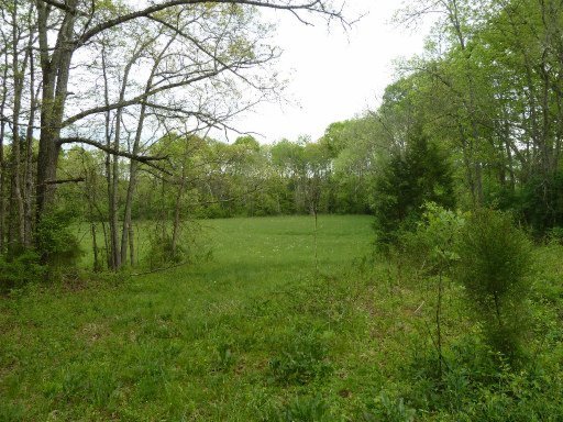 9067 Bud Hawkins Road Corryton, TN 37721 - Photo 10 of 15 Additional Photo