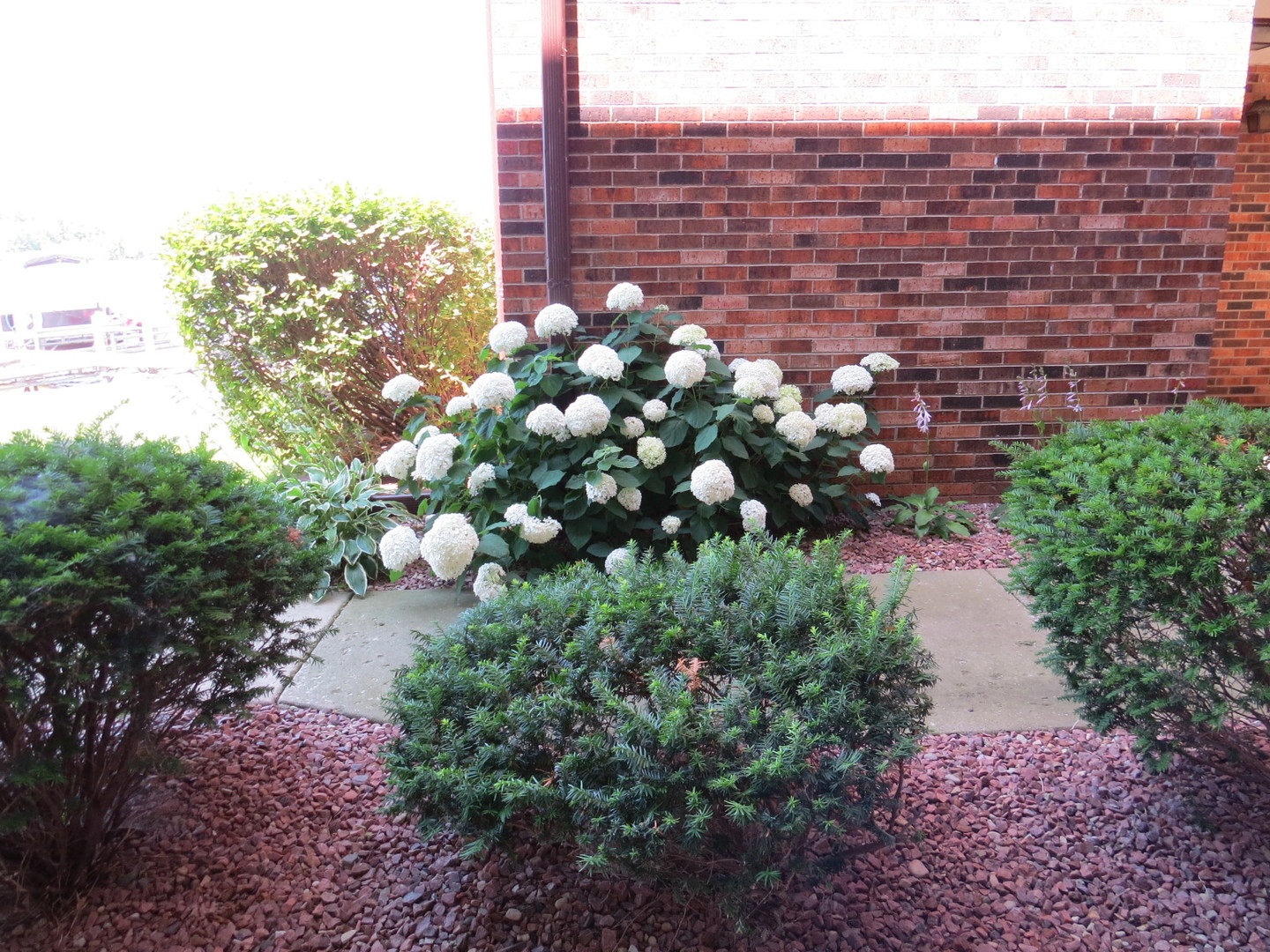 24 North Pistakee Lake Road, Unit 2D Fox Lake, IL 60020 - Photo 4 of 30 a view of a bunch of flowers