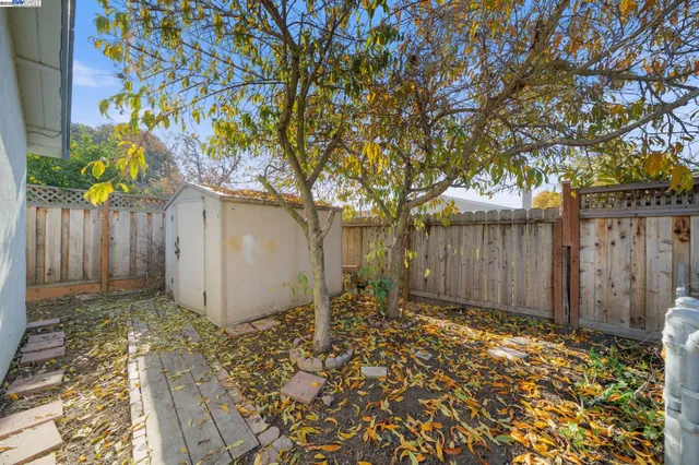 a view of a backyard with large tree