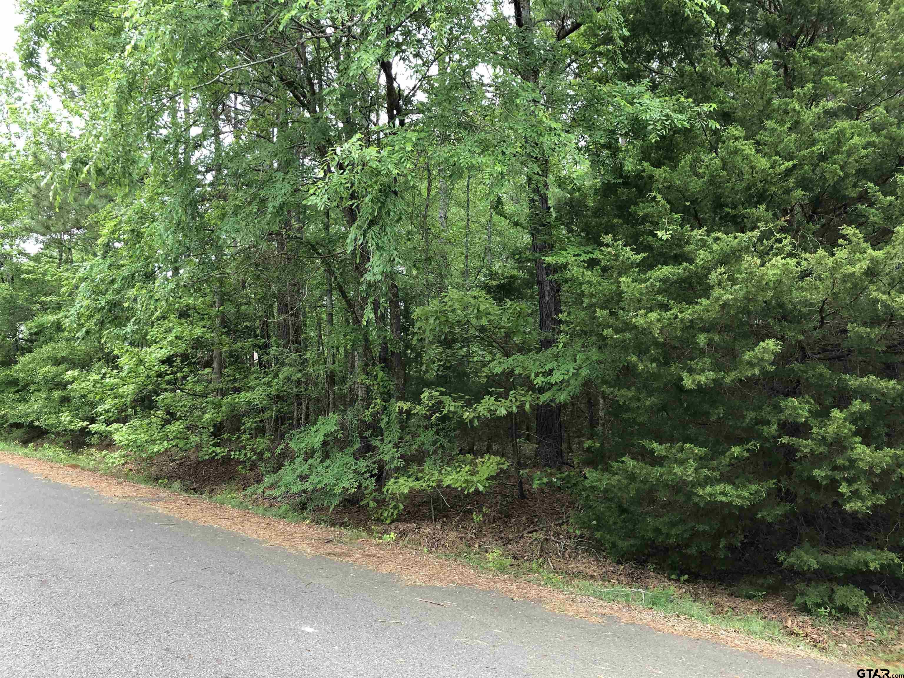 Tbd South Easy Street Rusk, TX 75785 - Photo 20 of 20 a view of a road with plants and bushes