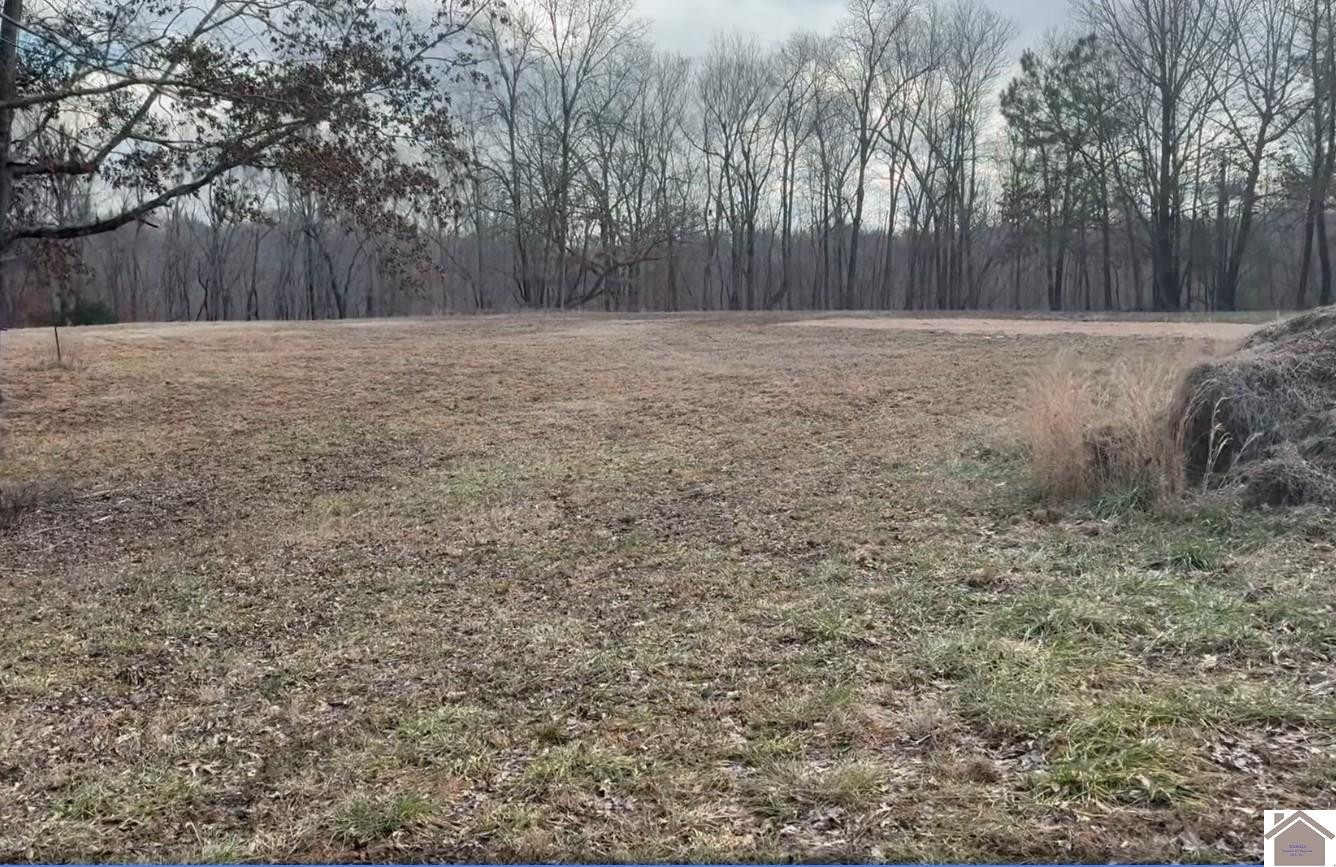 1802 Bryant Road Benton, KY 42025 - Photo 4 of 9 Photo 4