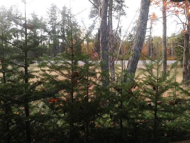 5412 Highway 45 Conover, WI 54519 - Photo 8 of 20 Gallery Image 8
