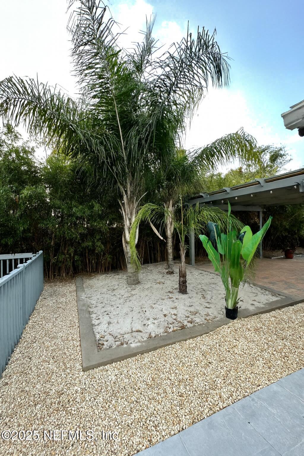 318 Royal Palms Drive Atlantic Beach, FL 32233 - Photo 24 of 39 PALM TREE ROCK GARDEN
