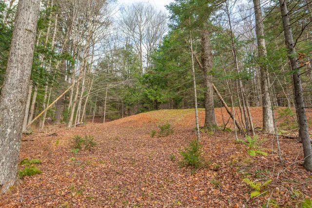 $425,000 | 68 East Brook Crossing, Wilmington, VT 05363