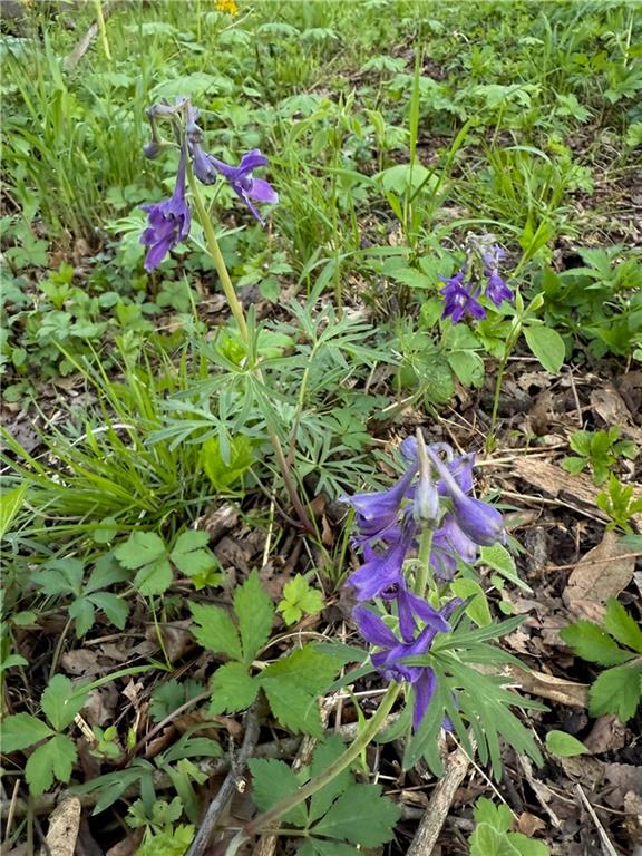 18233 Aberdeen Street Stilwell, KS 66085 - Photo 57 of 58