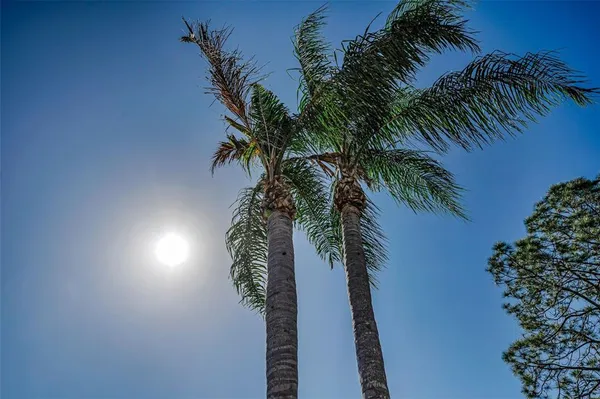 $1,300,000 | 3216 Harvest Moon Drive, Palm Harbor, FL 34683