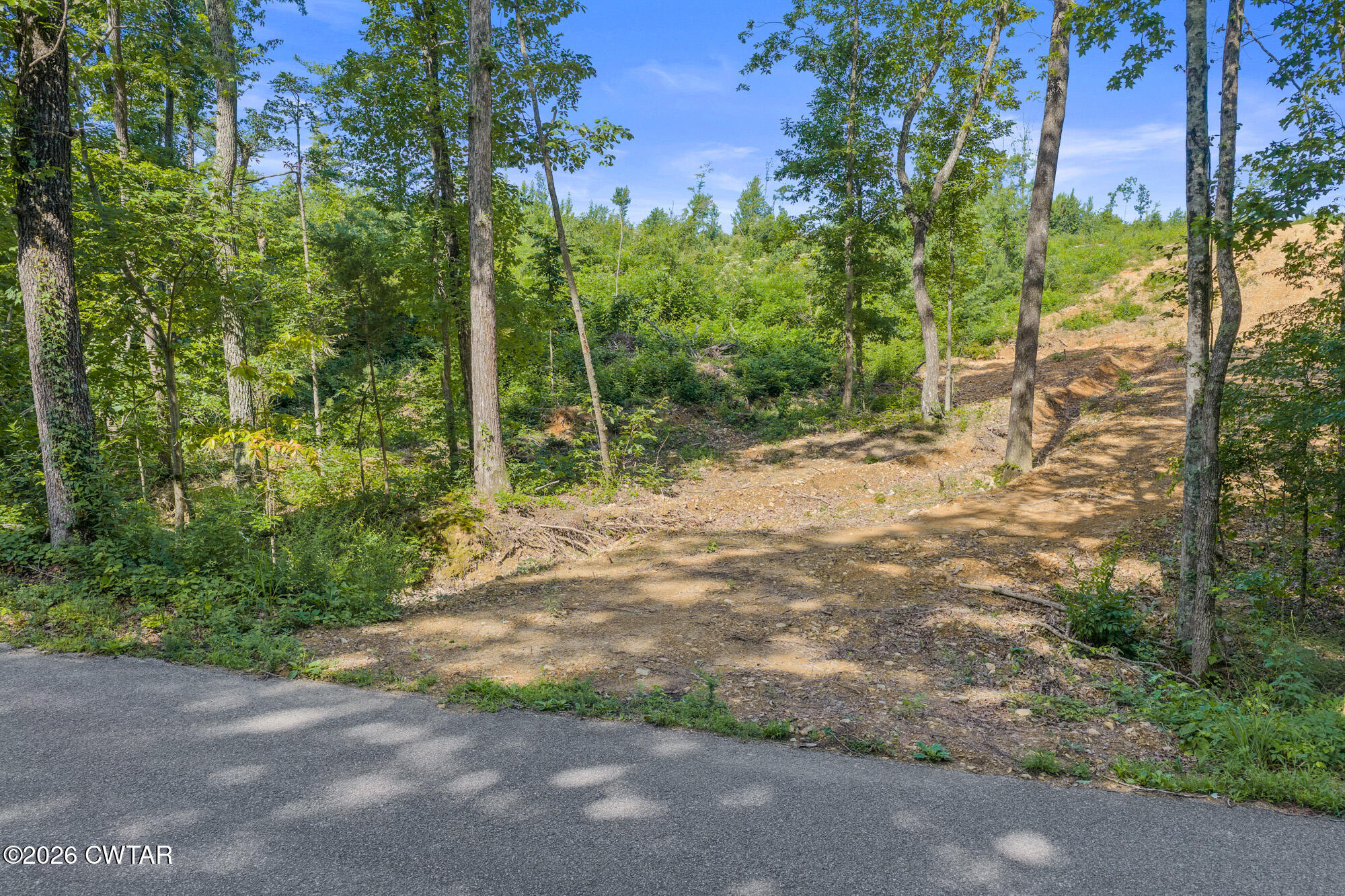 0 Coxburg Road Holladay, TN 38341 - Photo 6 of 18 DJI_20260613093201_0054_D