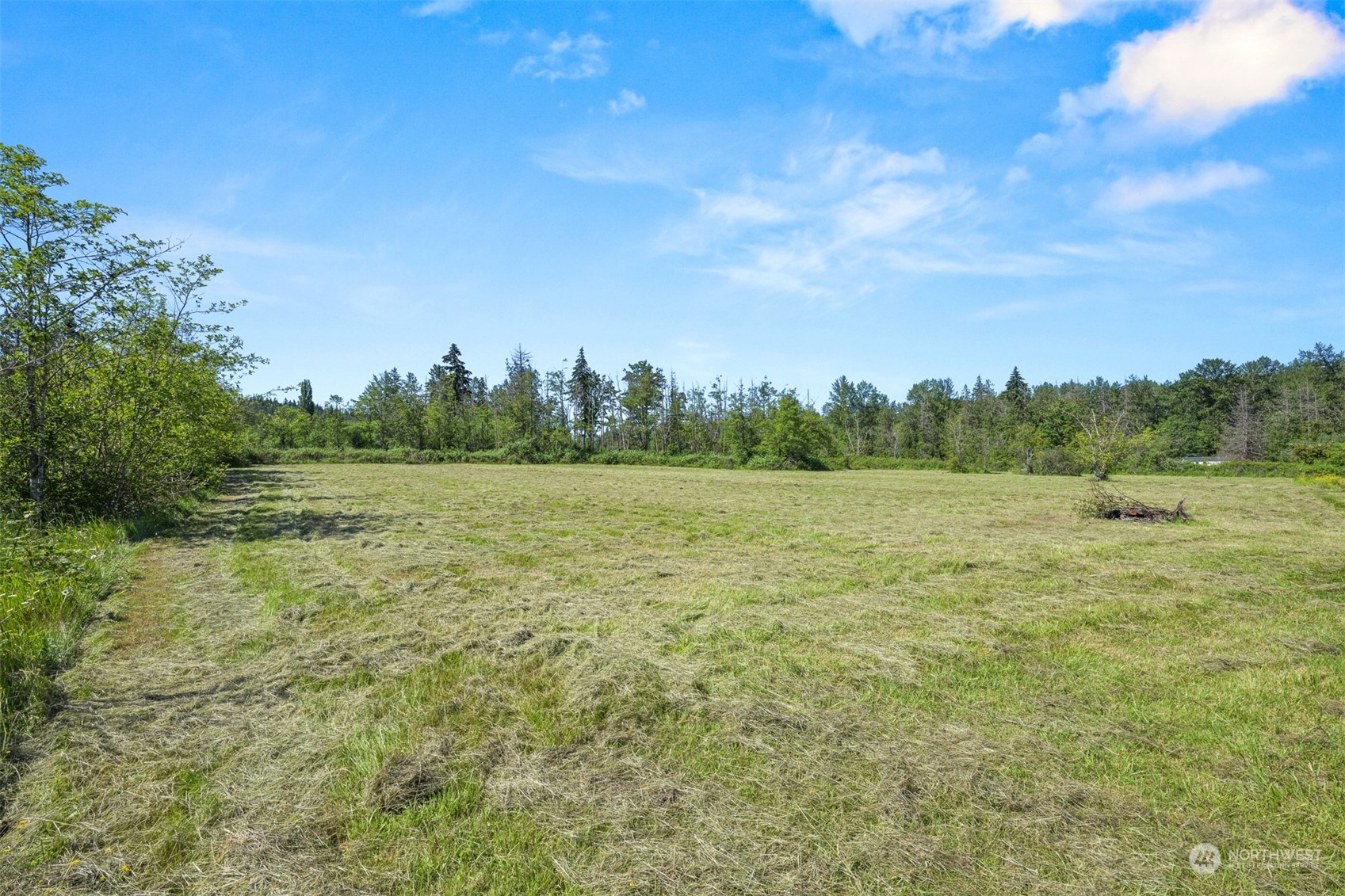 3323 East Smith Road Bellingham, WA 98226 - Photo 29 of 34 a view of an outdoor space and a yard