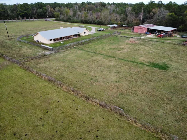 a view of a forest with trees in the background