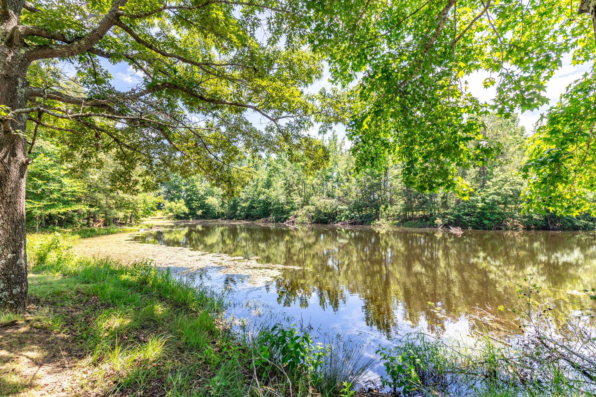 424 Charles McClearen Road Hohenwald, TN 38462 - Photo 40 of 80