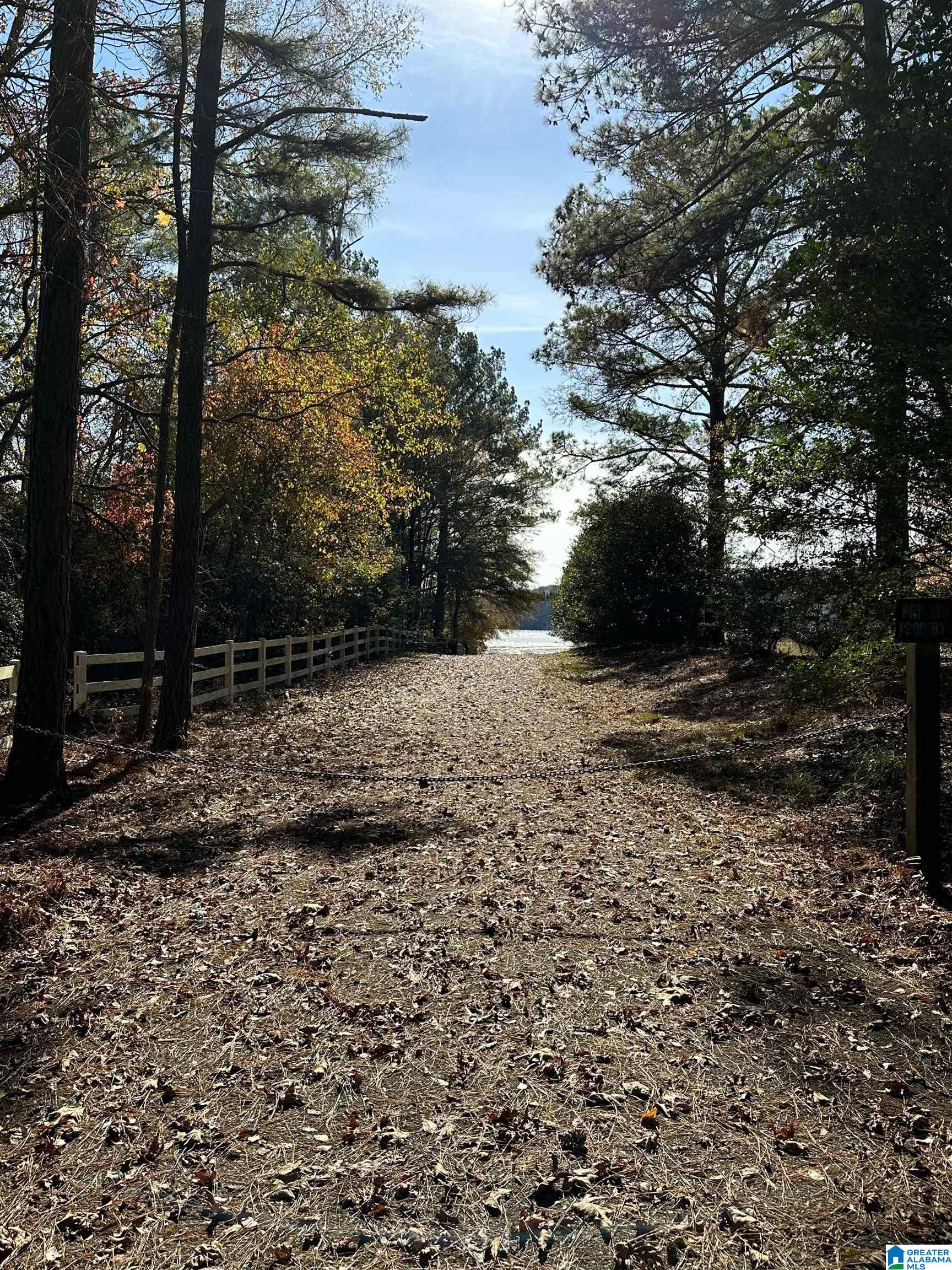 Lot 5 Carleton Point, Unit 5 Wilsonville, AL 35186 - Photo 10 of 12