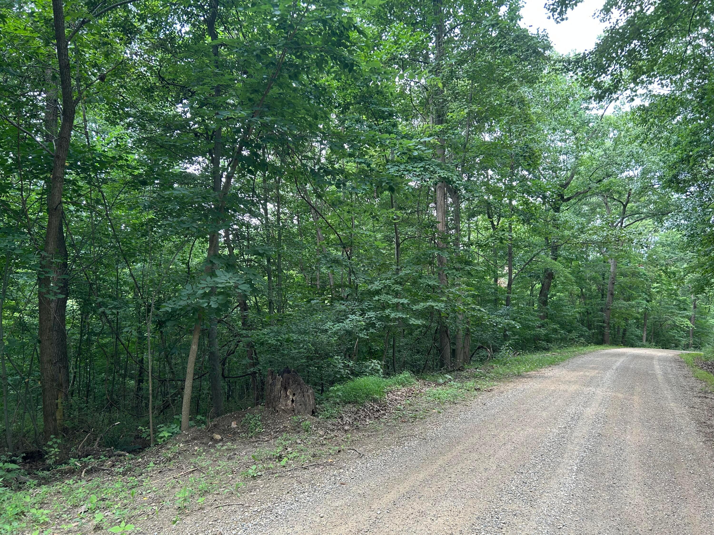 0 Staats Road Howard, OH 43028 - Photo 2 of 9 IMG_1672