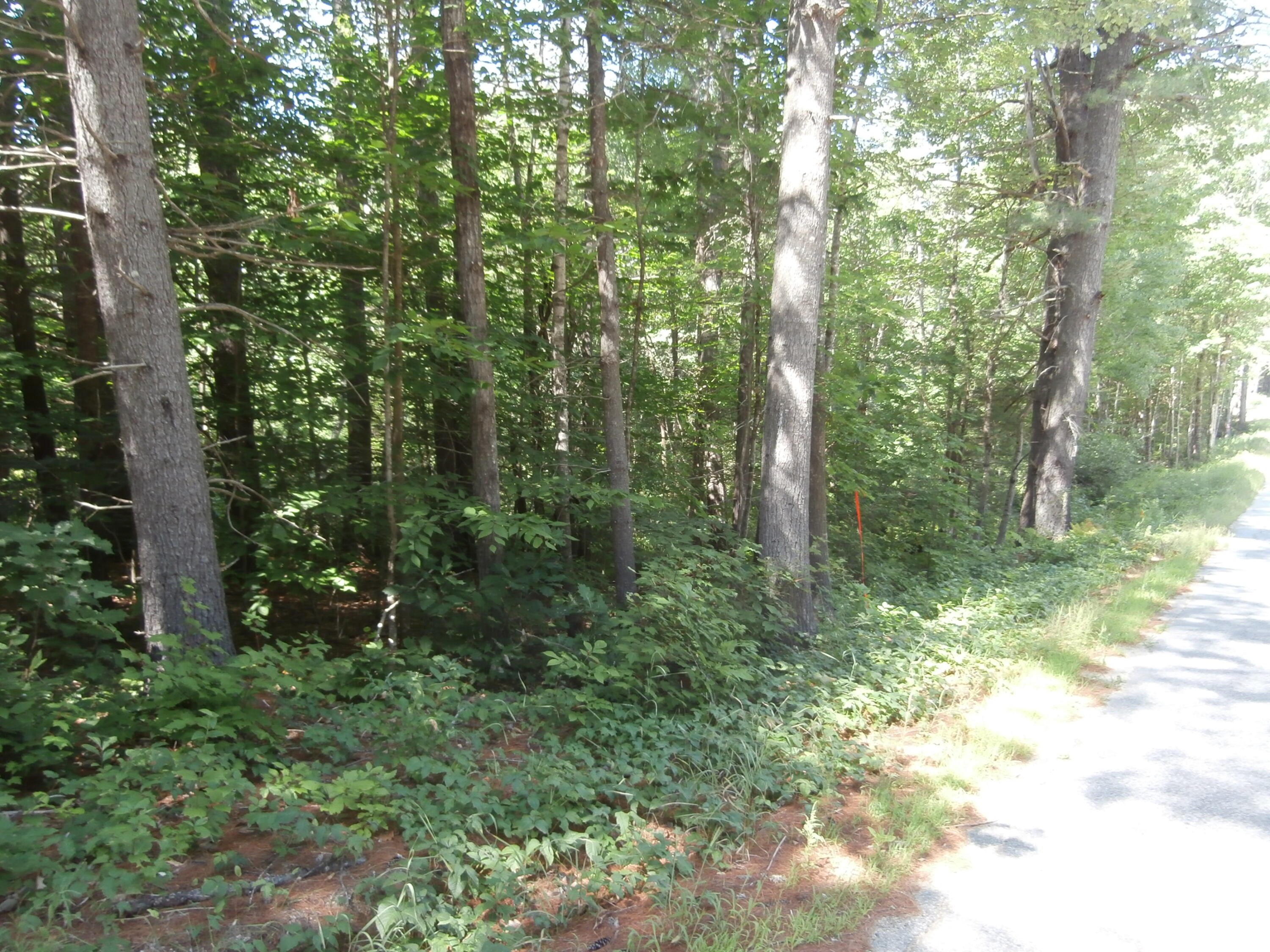 -lot4 Quarry Road Limerick, ME 04048 - Photo 2 of 3 P1010146