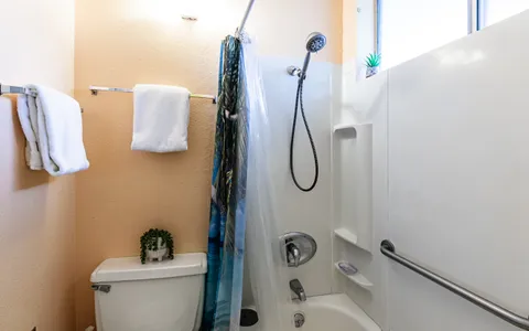 a bathroom with a bathtub and a shower