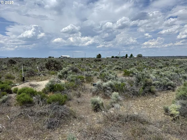 a view of a bunch of trees in a field