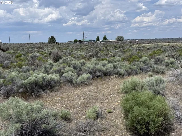a view of a dry yard with lots of green space