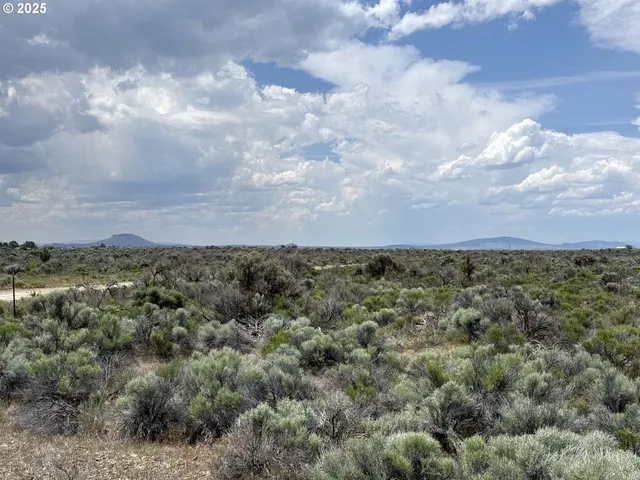 a view of a big yard with lots of bushes