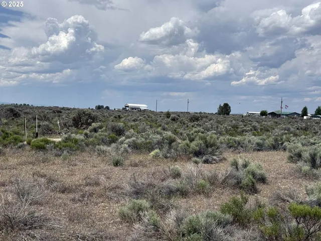 a view of a dry yard with wooden fence