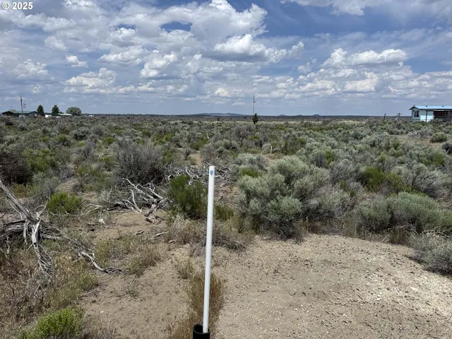 a view of a dry yard