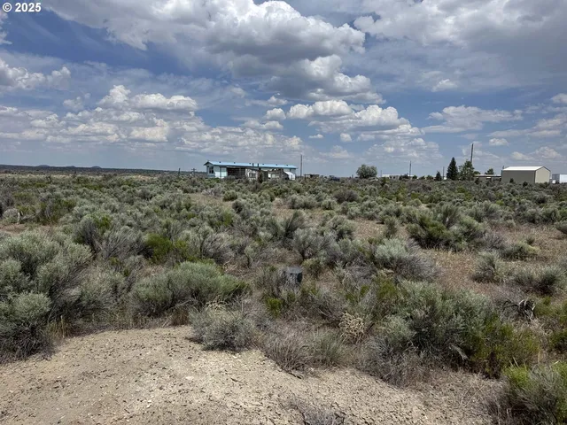 a view of a dry yard