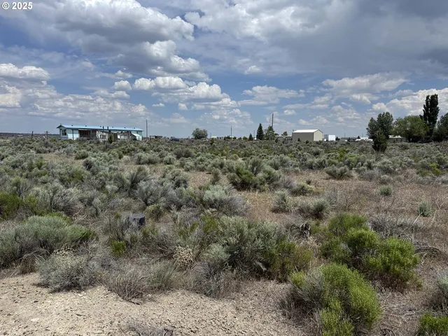 a view of a bunch of trees in a field