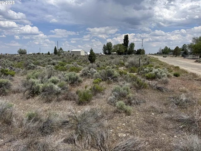 a view of a dry yard with wooden fence