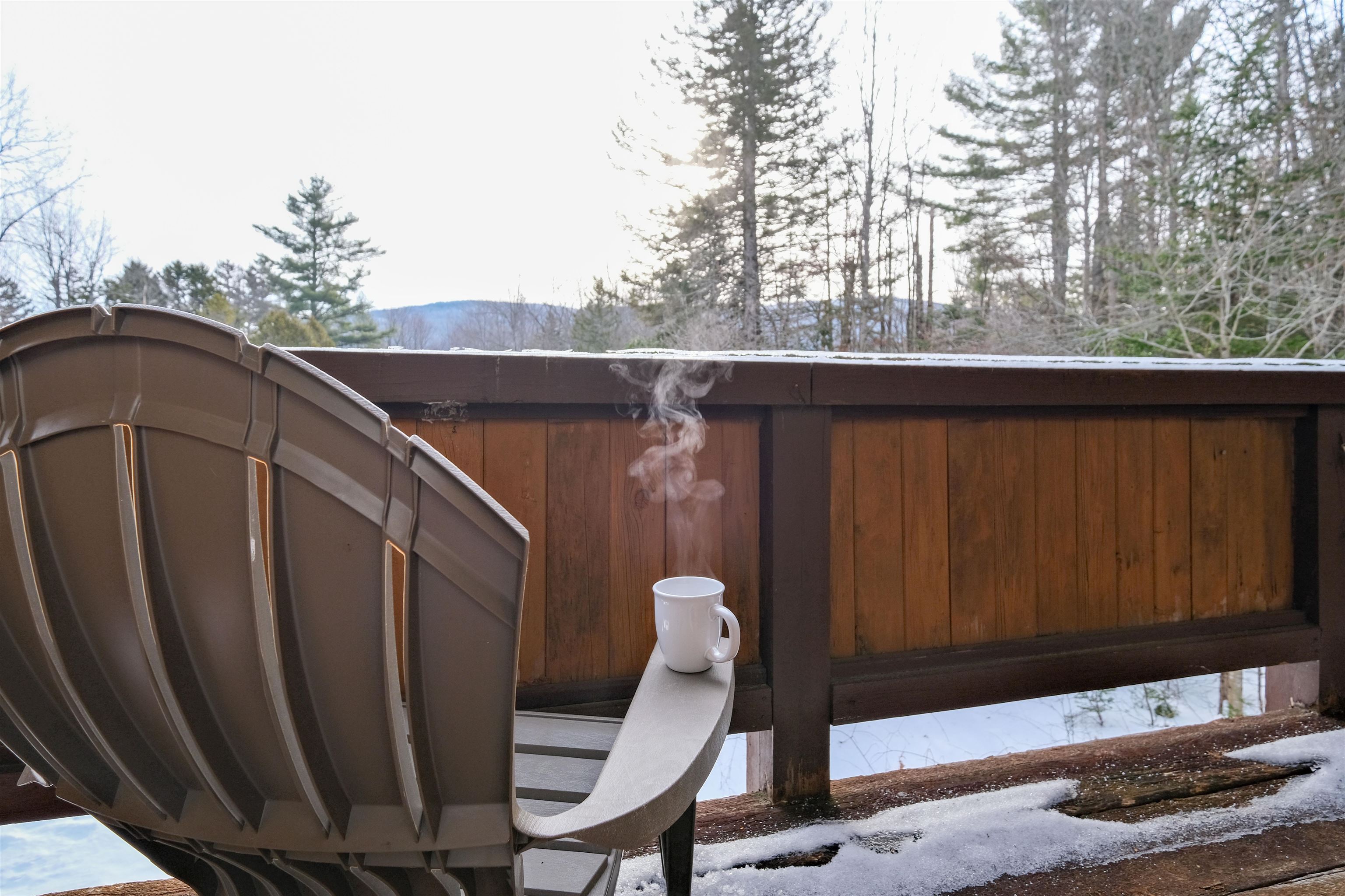 609 Alpine Drive Mount Holly, VT 05758 - Photo 16 of 39