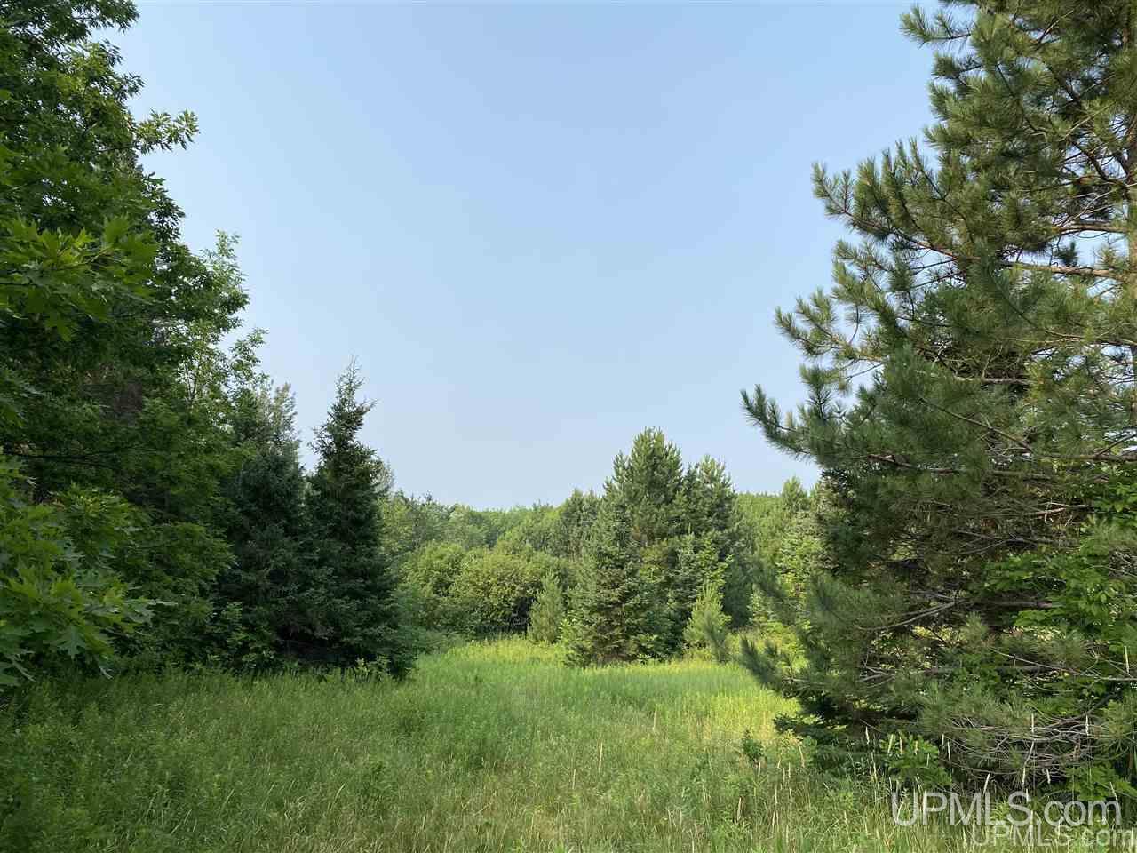 2 Indianhead Road Wakefield, MI 49968 - Photo 7 of 10 Gallery Image 7