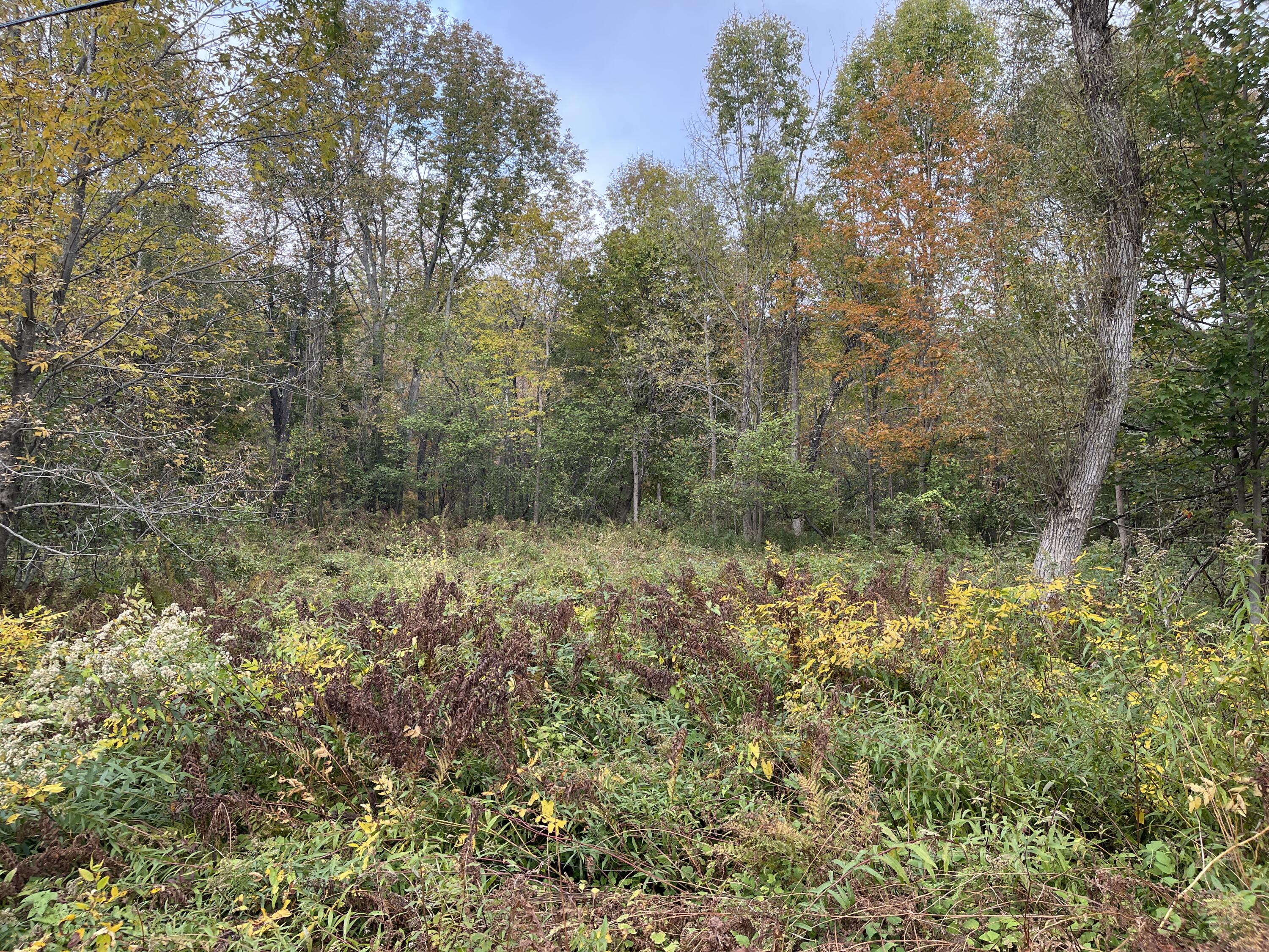 297 Intervale Road Temple, ME 04984 - Photo 2 of 6 Looking East