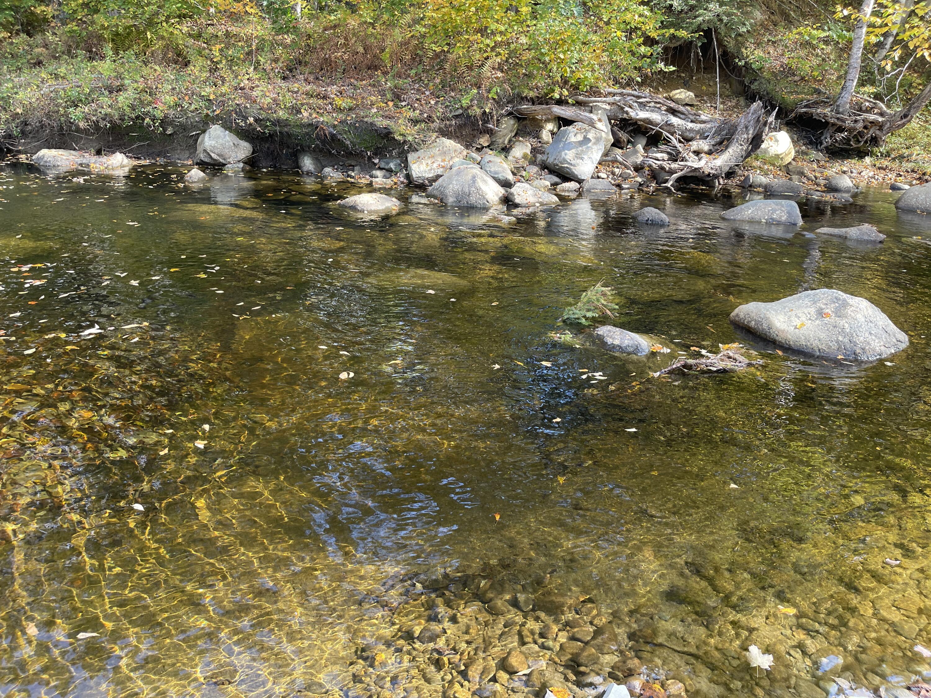 297 Intervale Road Temple, ME 04984 - Photo 3 of 6 Temple Stream