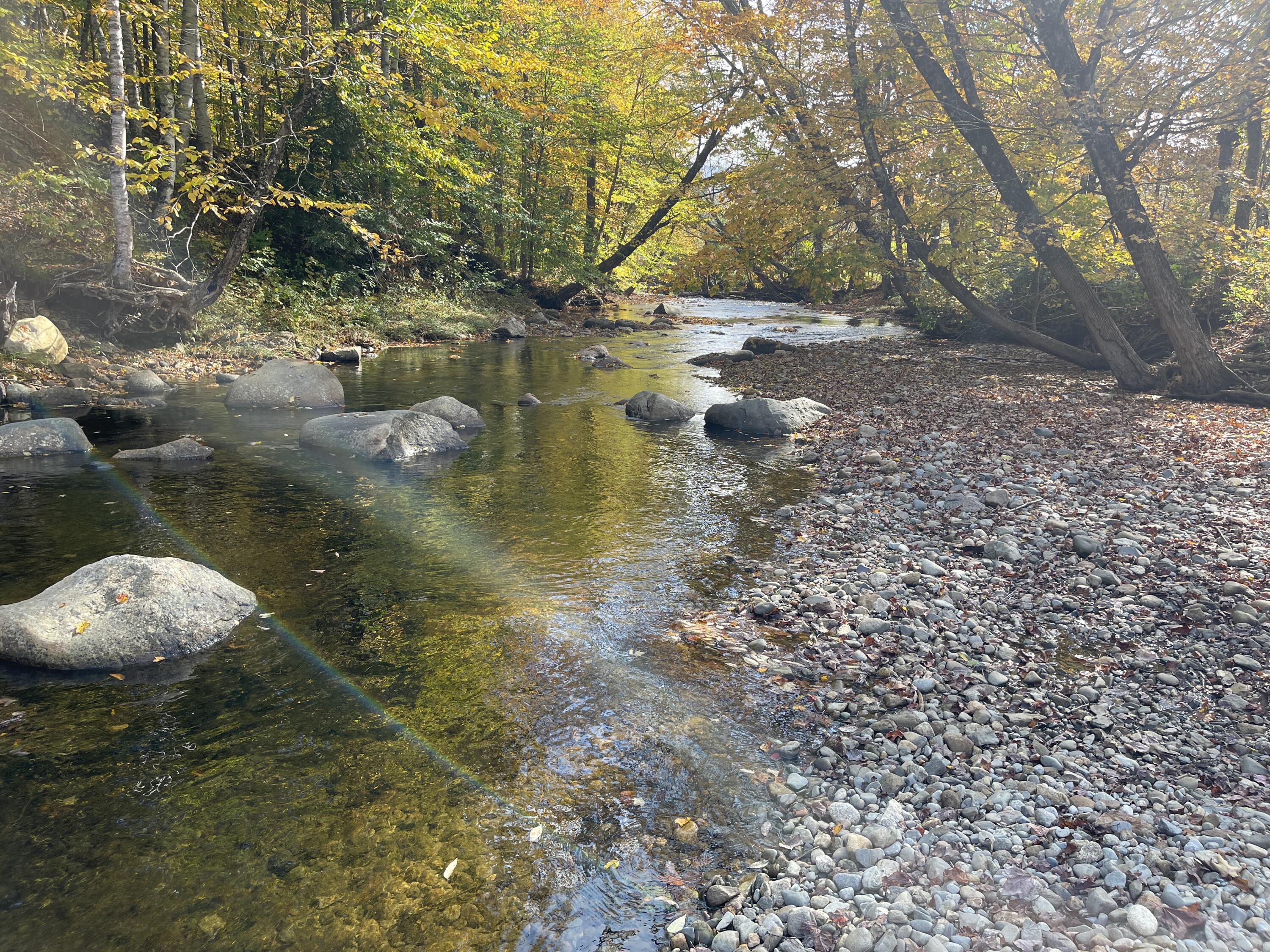 297 Intervale Road Temple, ME 04984 - Photo 4 of 6 Temple Tream - down stream
