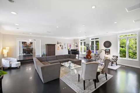 a view of living room filled with furniture and a potted plant