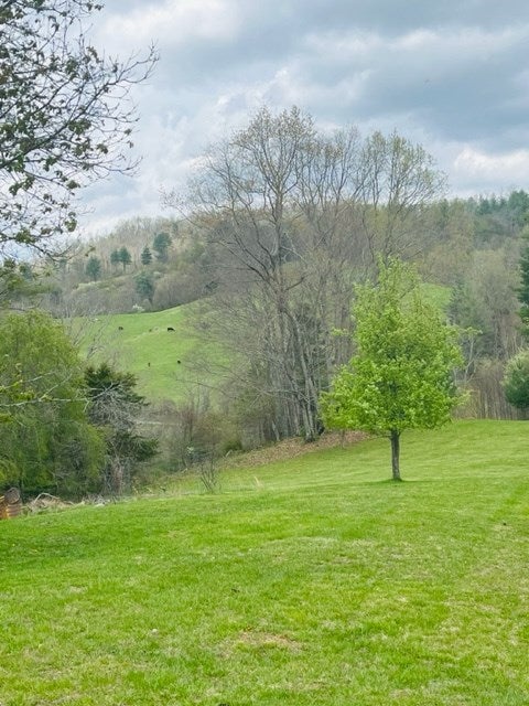 2652 Briar Patch Mountain Road Fries, VA 24330 - Photo 36 of 45 Gallery Image 36