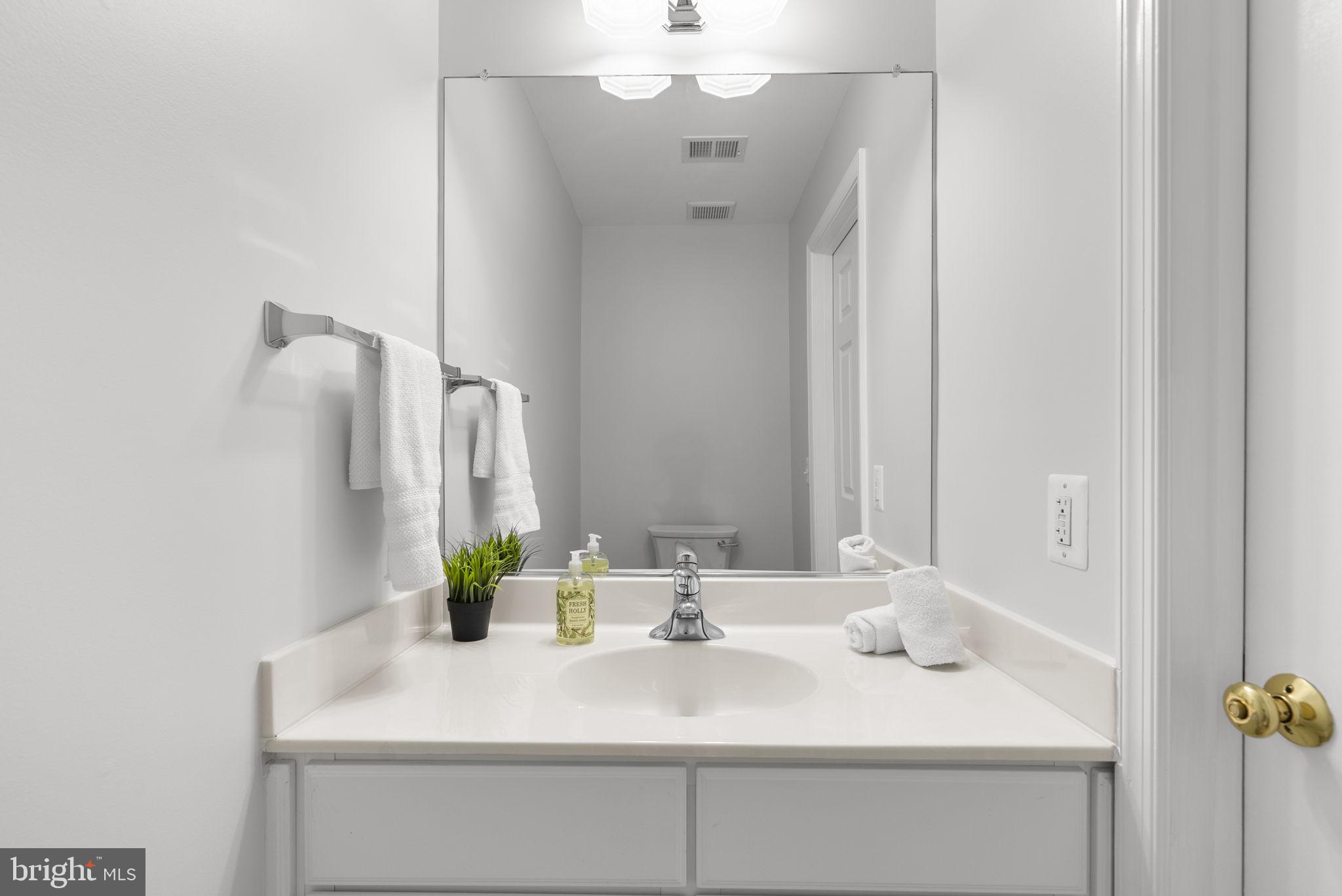 3222 Theodore R Hagans Drive Northeast Washington, DC 20018 - Photo 41 of 45 Bathroom - lower level