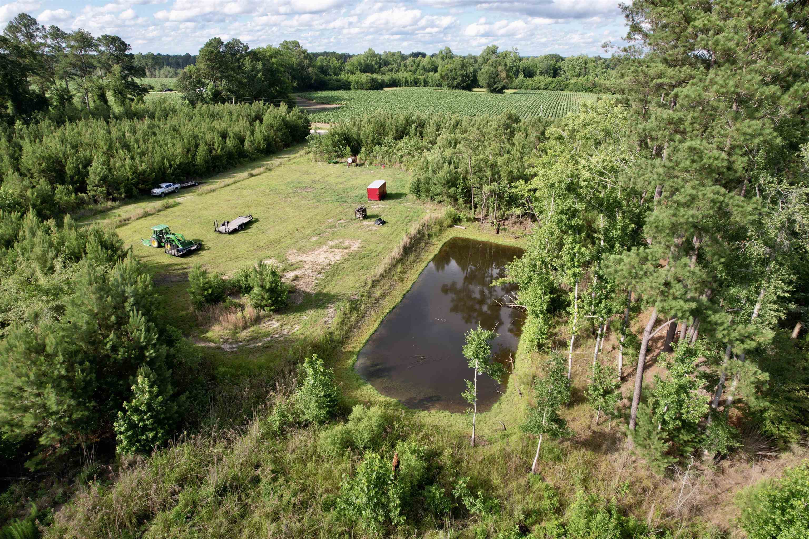85-acres - Muddy Creek Road Hemingway, SC 29554 - Photo 28 of 31