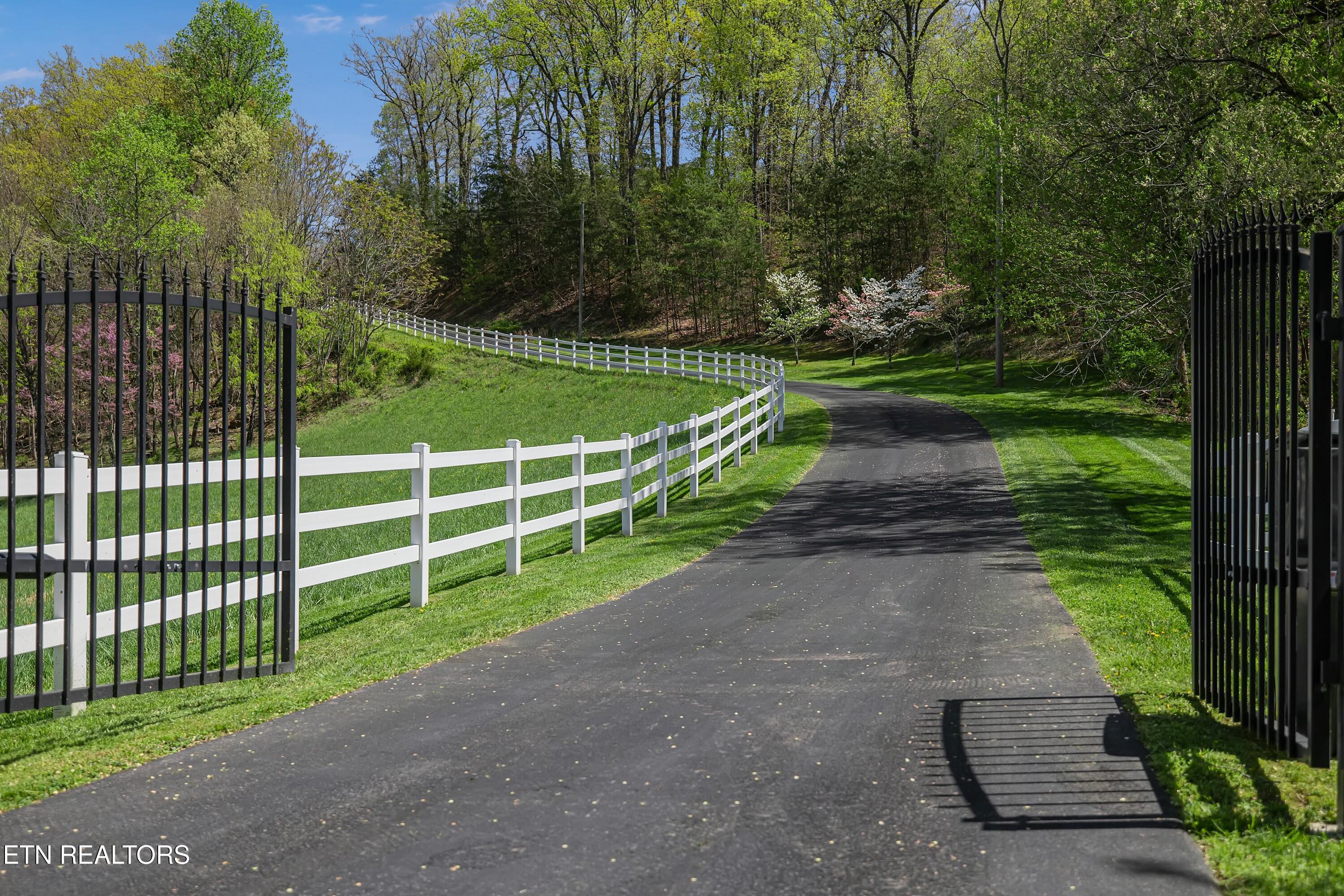 782 Wilson Hale Road Morristown, TN 37813 - Photo 3 of 60 tempImage0OrTla